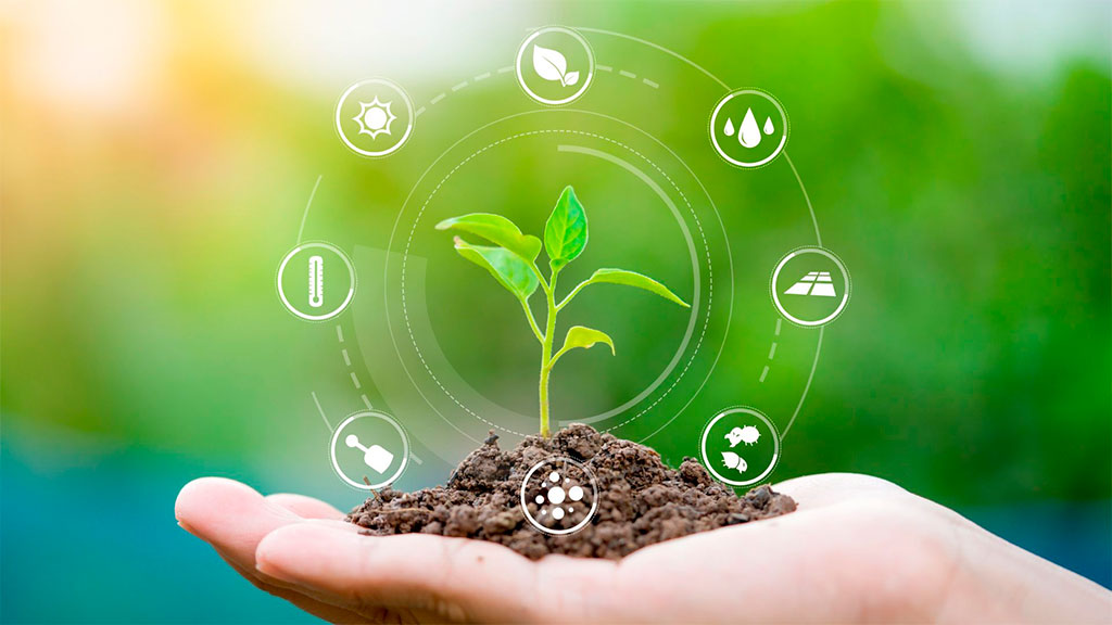 Una mano sujetando un montón de tierra del cual sale una rama verde con 4 hojas. Alrededor de la hoja hay iconos blancos de digitalización y agricultura, los cuales están dentro de círculos blancos.