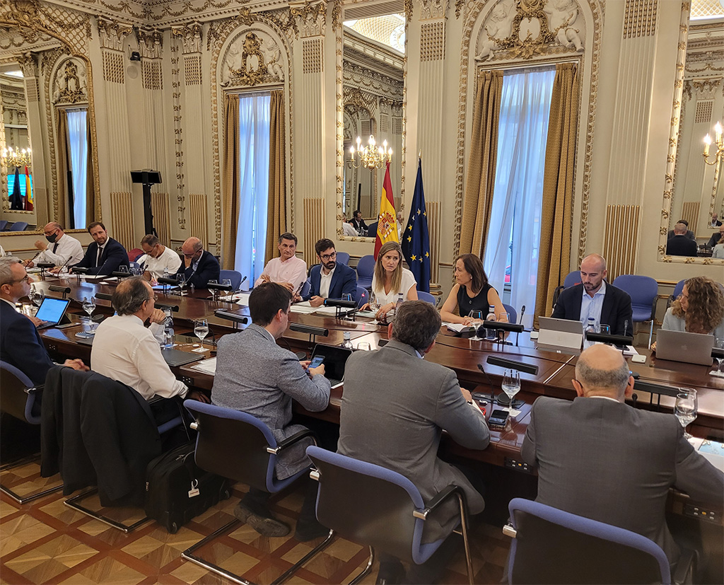 El consejero Irujo durante la reunión del grupo de trabajo de Infraestructuras de Recarga del Vehículo Eléctrico, celebrada en Madrid