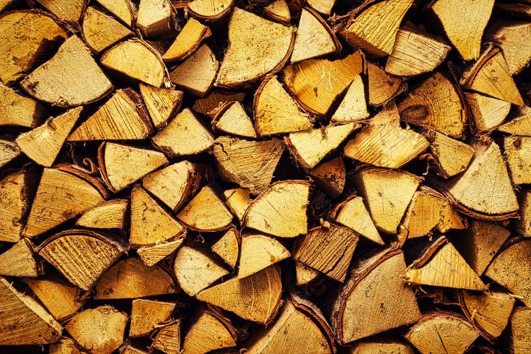 Leñas apiladas