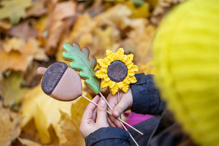 Una persona mira sus manos en las cuales sujeta tres palos con figuras de un girasol, una hoja y una bellota. El suelo está lleno de hojas.