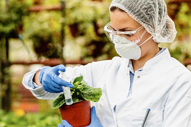 102 proyectos de I+D de empresas navarras recibirán financiación del Ejecutivo foral por un importe total de 11,5 millones de euros