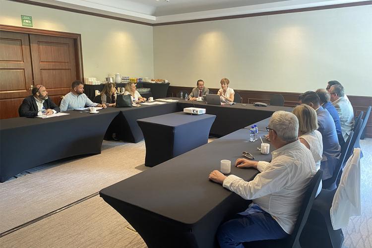 Miren Ausin, durante una de las reuniones celebradas en México