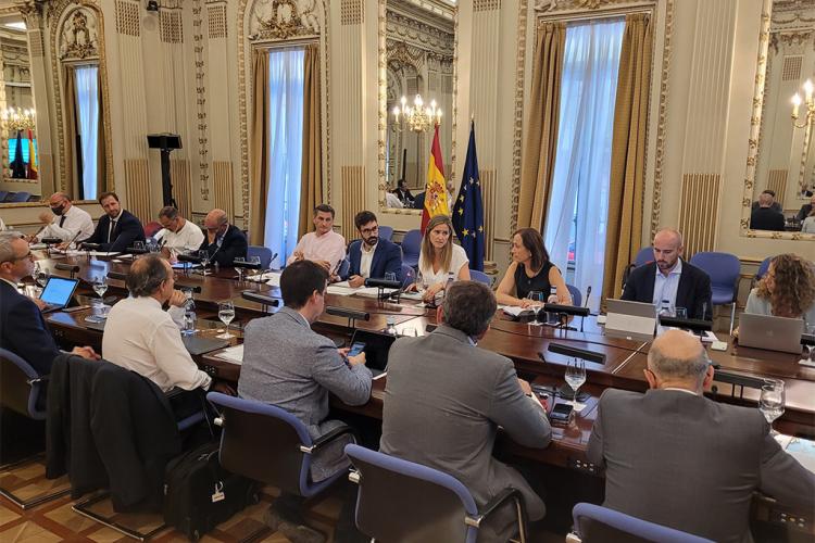 El consejero Irujo durante la reunión del grupo de trabajo de Infraestructuras de Recarga del Vehículo Eléctrico, celebrada en Madrid