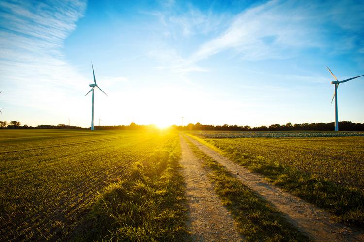 Molinos de viento en el campo al atardecer