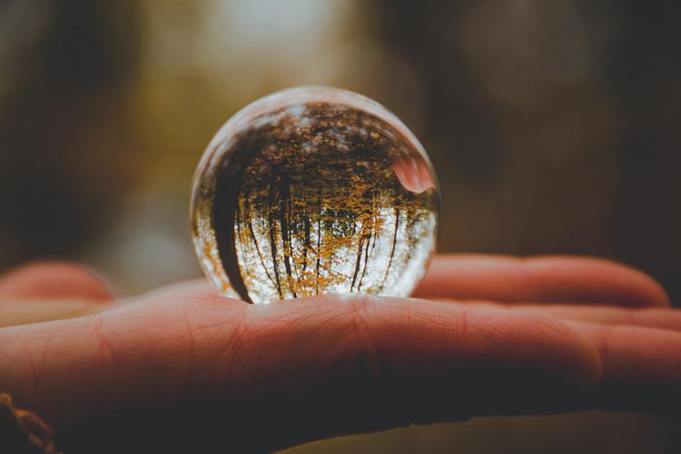 Una gota de agua sobre una mano. En la gota se visualiza un bosque en tonos marrones y amarillos.