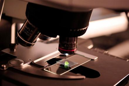 Primer plano de un microscopio