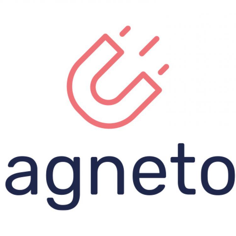 Magnetool