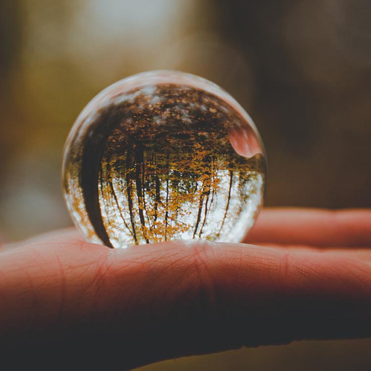 Una gota de agua sobre una mano. En la gota se visualiza un bosque en tonos marrones y amarillos.