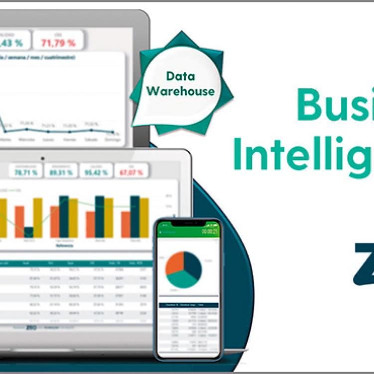 Business Intelligence